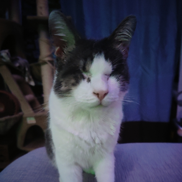 Meet your Posher, Kimberly - Picture 9 of 9